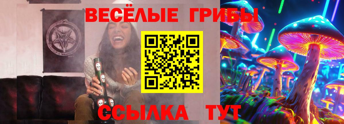 Псилоцибиновые грибы Magic Shrooms  Вход с VPN  Ноябрьск  Псилоцибиновые грибы мицелий 