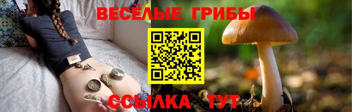 Псилоцибиновые грибы ЛСД Ноябрьск